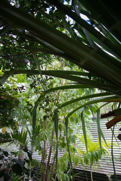 فندق Tamarindo Sunshine المظهر الخارجي الصورة